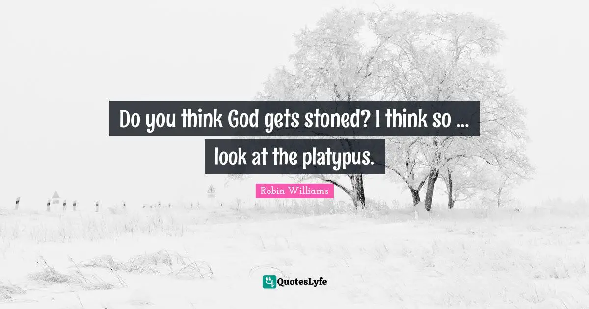 Do you think God gets stoned? I think so ... look at the platypus.