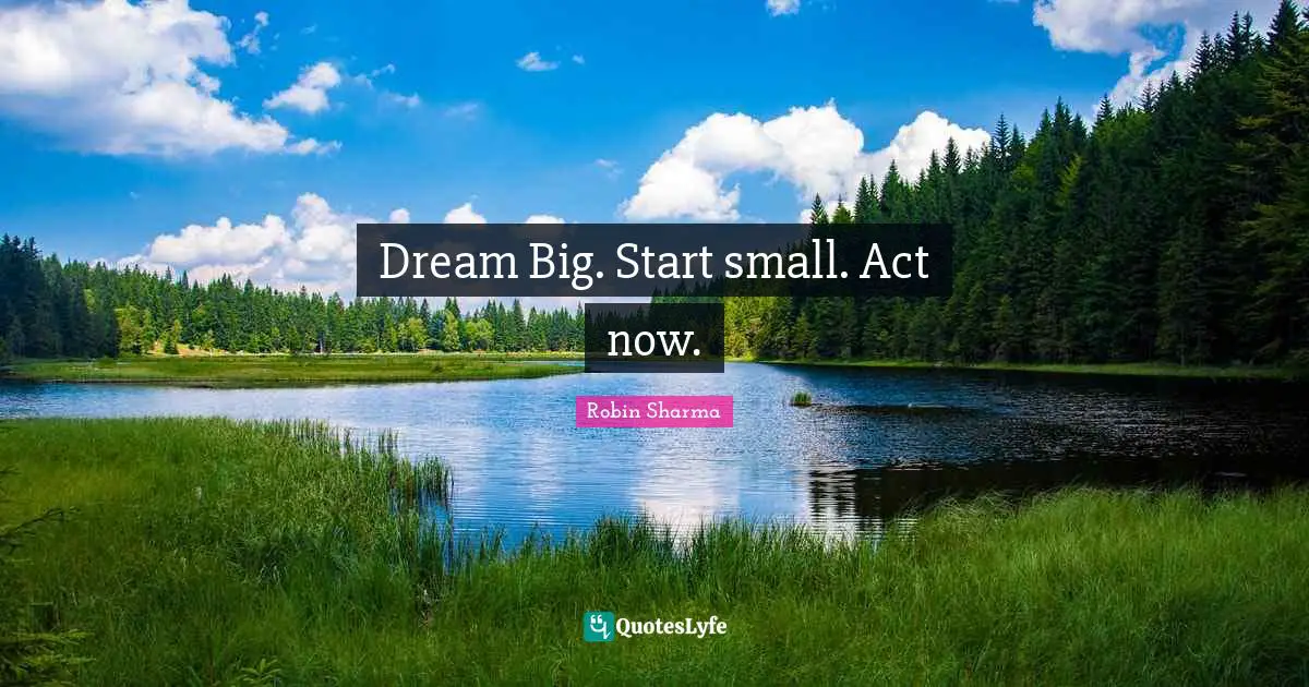Dream Big. Start small. Act now.