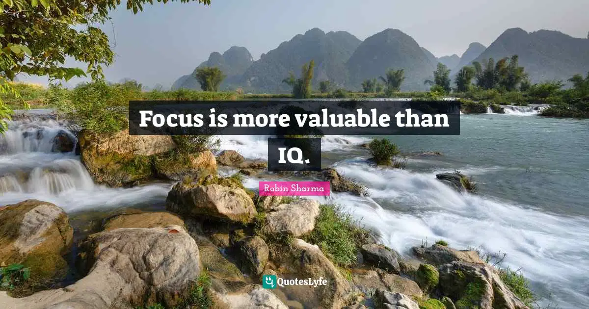 Focus is more valuable than IQ.