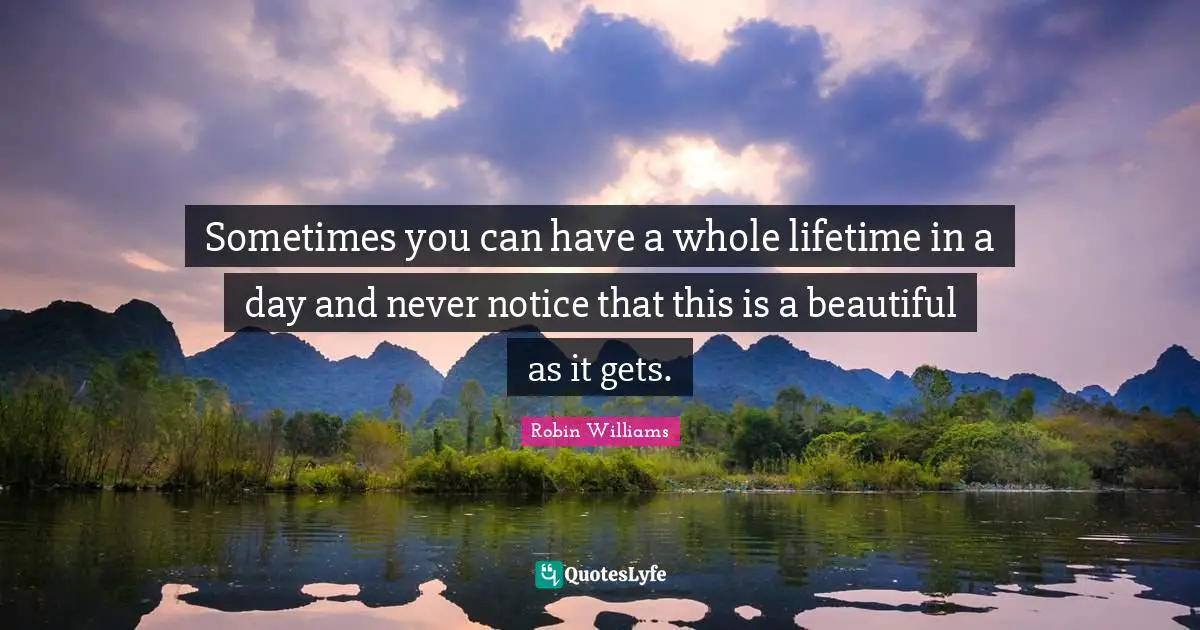 Lifetime Quotes: "Sometimes you can have a whole lifetime in a day and never notice that this is a beautiful as it gets."