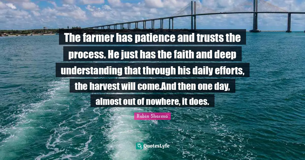The farmer has patience and trusts the process. He just has the faith and deep understanding that through his daily efforts, the harvest will come.And then one day, almost out of nowhere, it does.