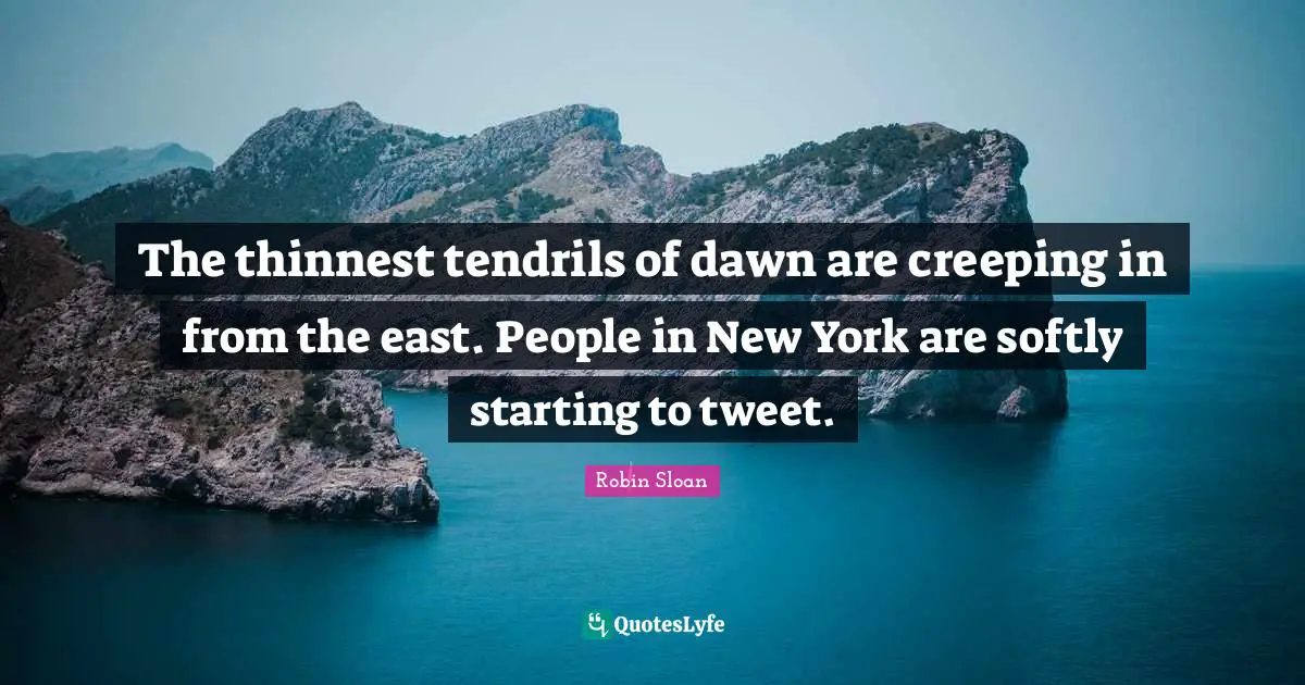 The thinnest tendrils of dawn are creeping in from the east. People in New York are softly starting to tweet.
