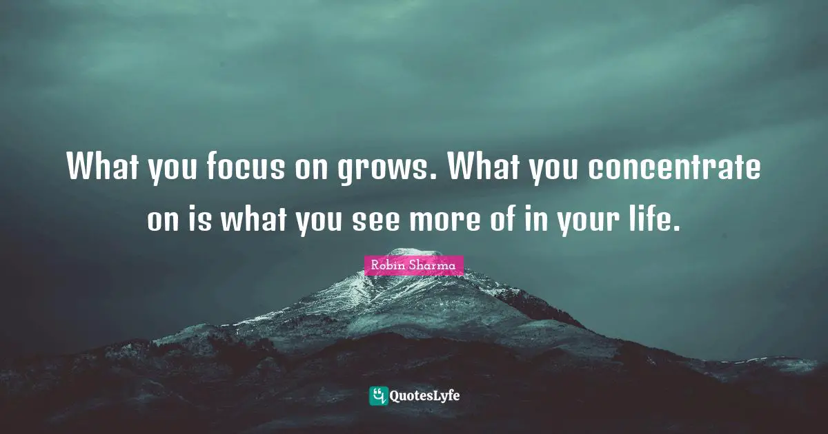 What you focus on grows. What you concentrate on is what you see more of in your life.