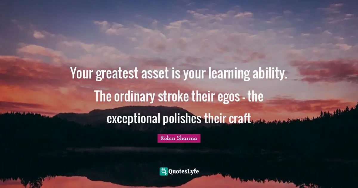 Your greatest asset is your learning ability. The ordinary stroke their egos - the exceptional polishes their craft