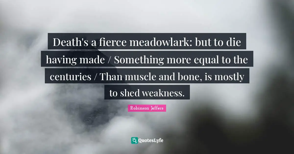 Death's a fierce meadowlark: but to die having made / Something more equal to the centuries / Than muscle and bone, is mostly to shed weakness.