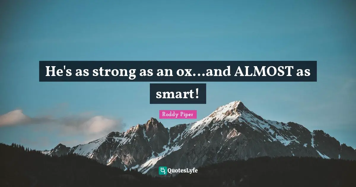 He's as strong as an ox...and ALMOST as smart!