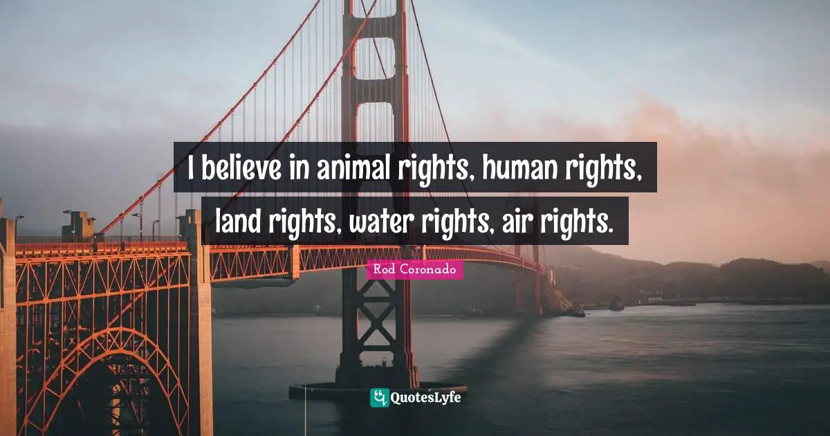Animal Rights Quotes: "I believe in animal rights, human rights, land rights, water rights, air rights."
