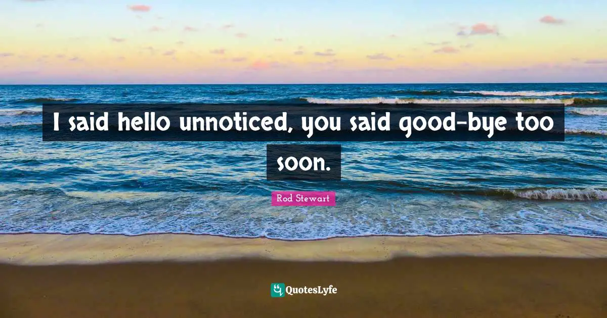 I said hello unnoticed, you said good-bye too soon.