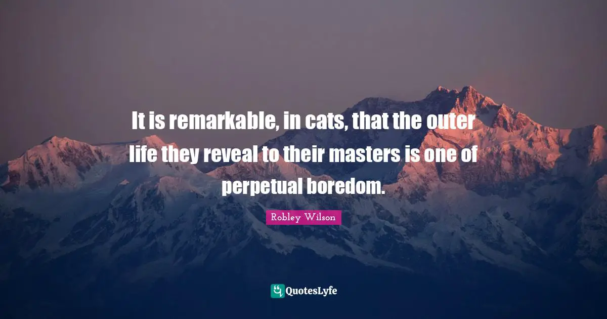 It is remarkable, in cats, that the outer life they reveal to their masters is one of perpetual boredom.