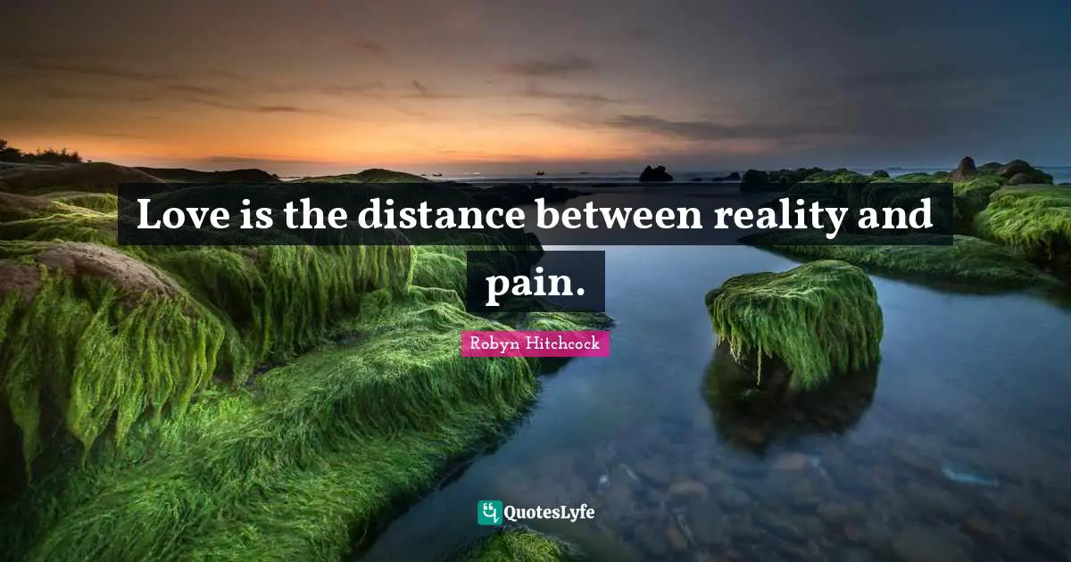 Love is the distance between reality and pain.