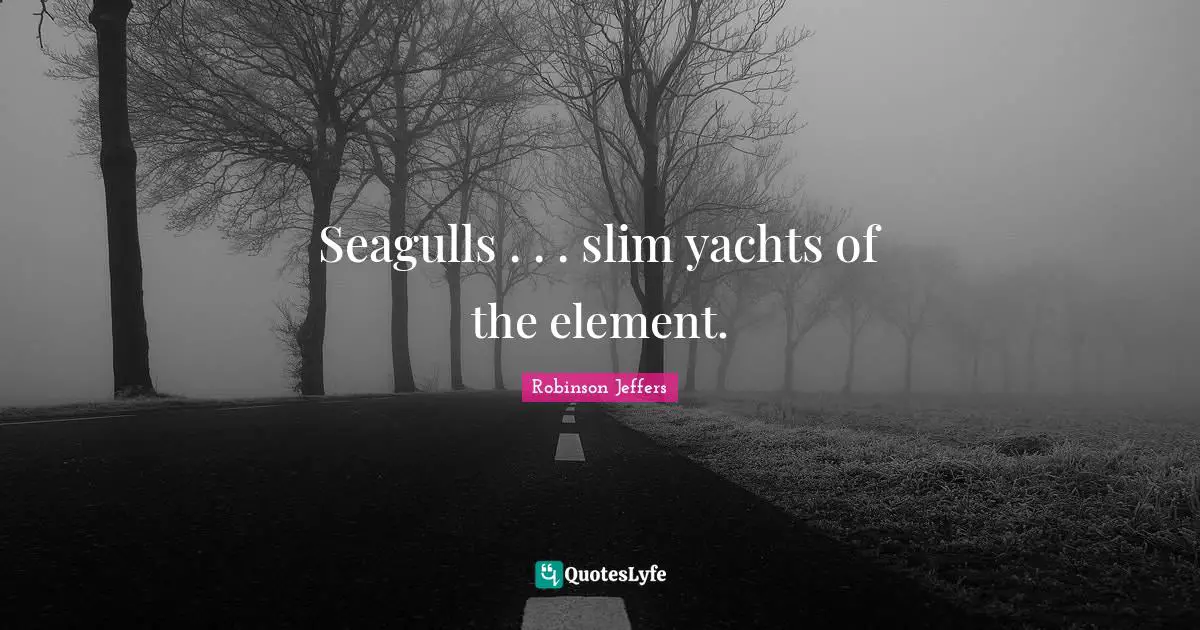 Elements Quotes: "Seagulls . . . slim yachts of the element."