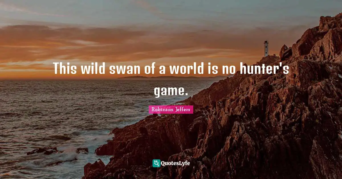 Swans Quotes: "This wild swan of a world is no hunter's game."