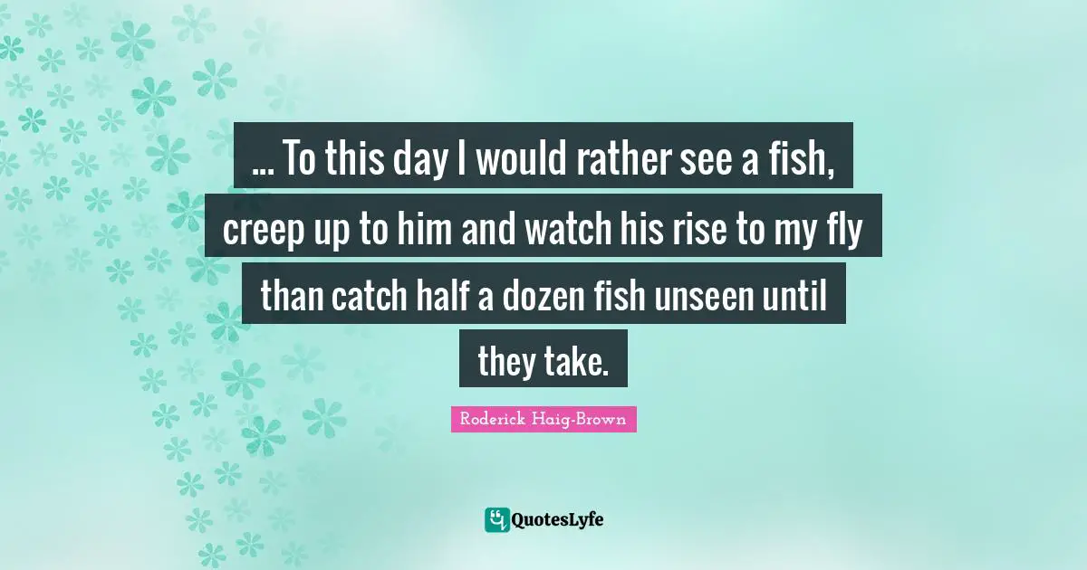 ... To this day I would rather see a fish, creep up to him and watch his rise to my fly than catch half a dozen fish unseen until they take.