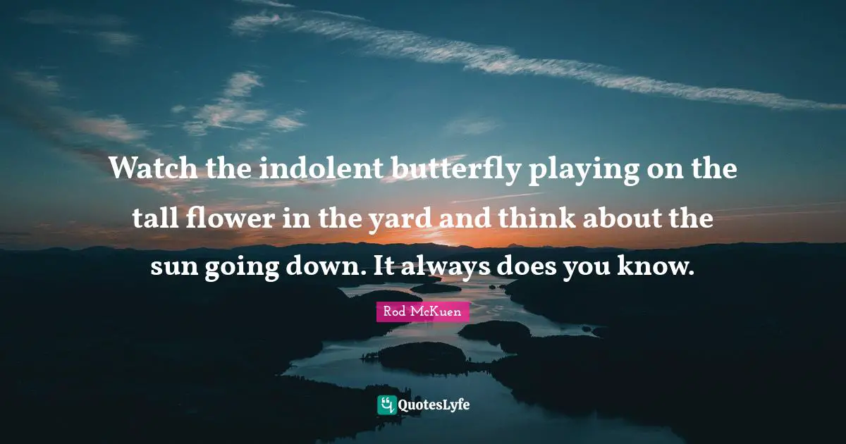 Watch the indolent butterfly playing on the tall flower in the yard and think about the sun going down. It always does you know.