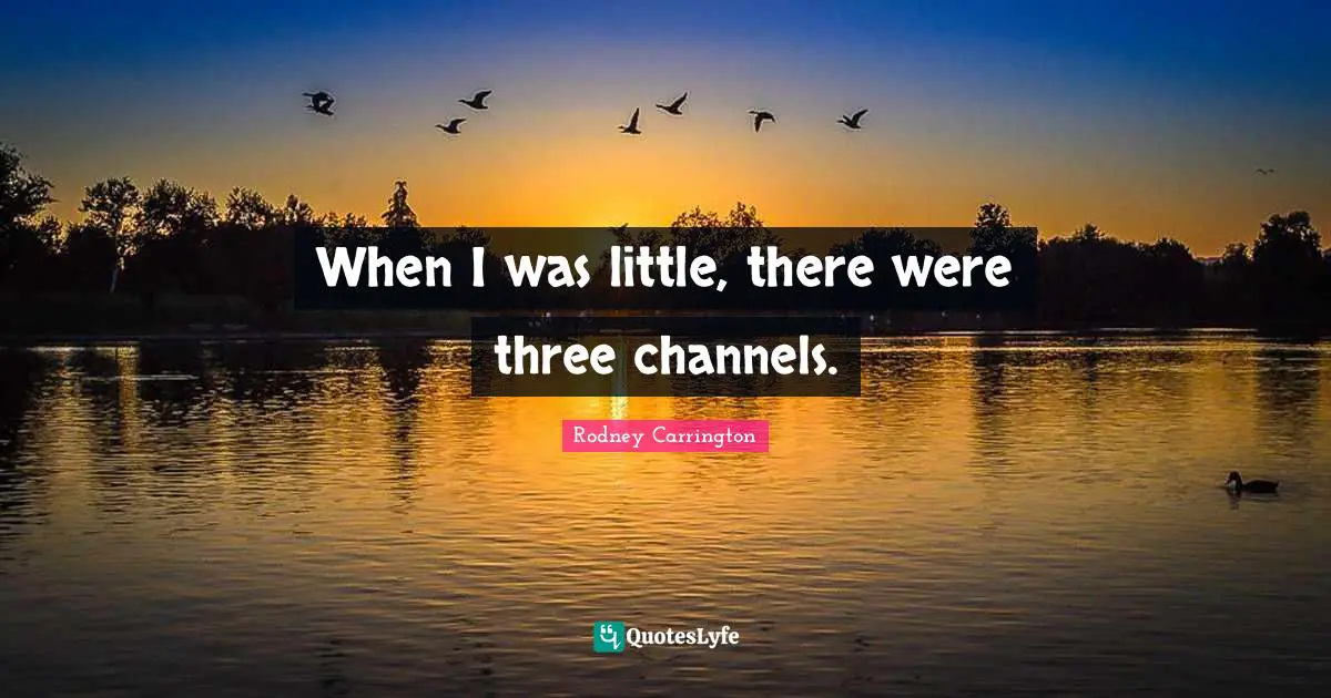 When I was little, there were three channels.