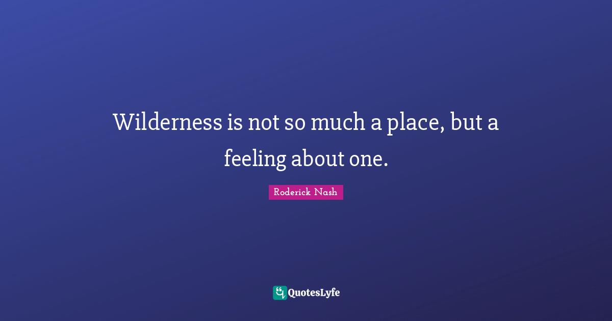 Wilderness is not so much a place, but a feeling about one.
