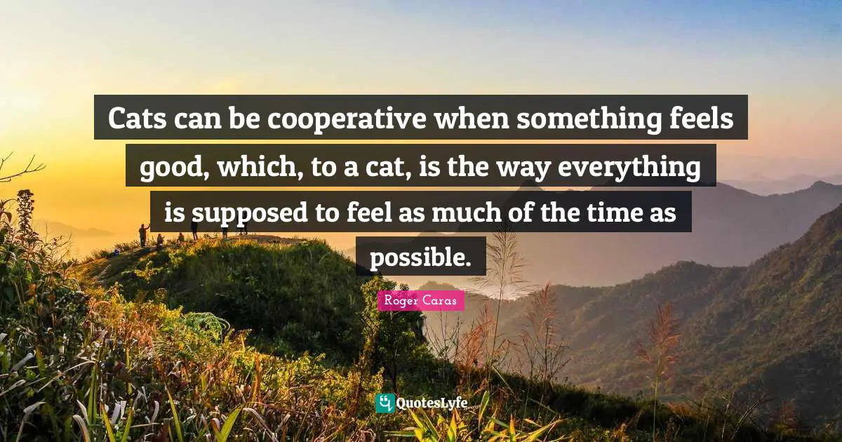 Cats can be cooperative when something feels good, which, to a cat, is the way everything is supposed to feel as much of the time as possible.