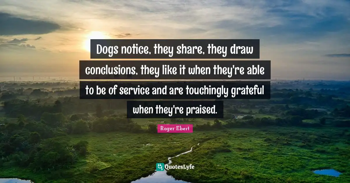 Dogs notice, they share, they draw conclusions, they like it when they're able to be of service and are touchingly grateful when they're praised.
