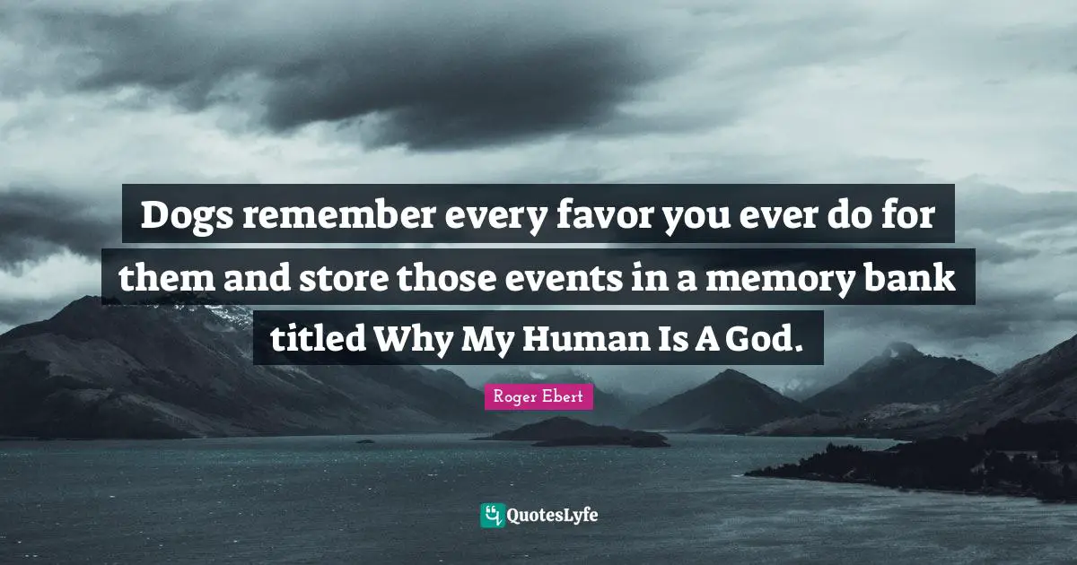 Dogs remember every favor you ever do for them and store those events in a memory bank titled Why My Human Is A God.