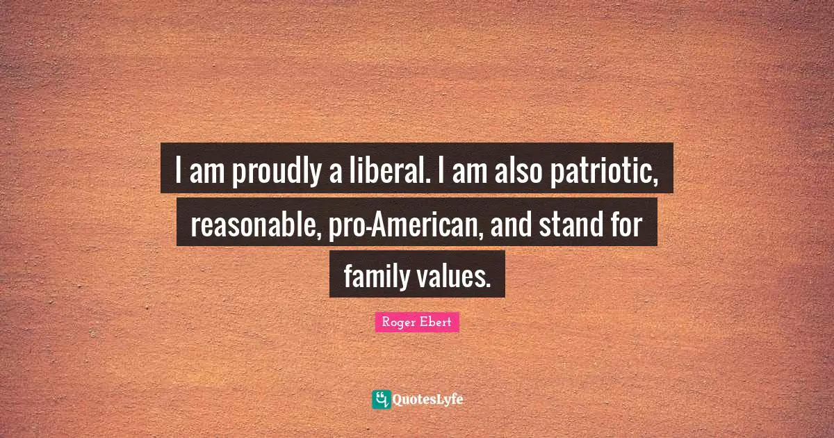 I am proudly a liberal. I am also patriotic, reasonable, pro-American, and stand for family values.