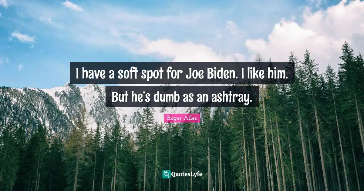I Like Him Quotes: "I have a soft spot for Joe Biden. I like him. But he’s dumb as an ashtray."