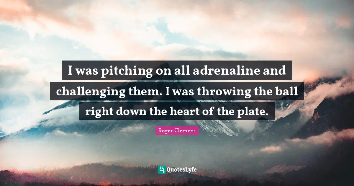 I was pitching on all adrenaline and challenging them. I was throwing the ball right down the heart of the plate.