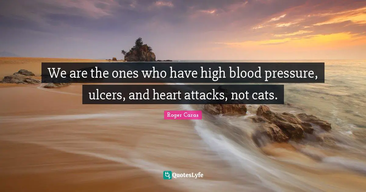 We are the ones who have high blood pressure, ulcers, and heart attacks, not cats.