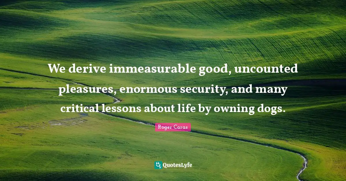 We derive immeasurable good, uncounted pleasures, enormous security, and many critical lessons about life by owning dogs.