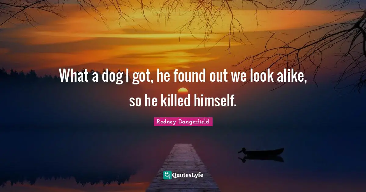 What a dog I got, he found out we look alike, so he killed himself.