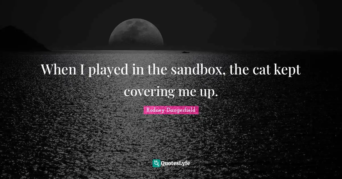 When I played in the sandbox, the cat kept covering me up.