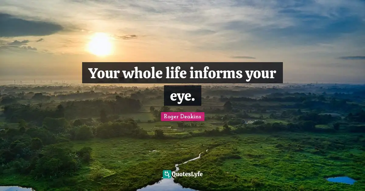 Your whole life informs your eye.