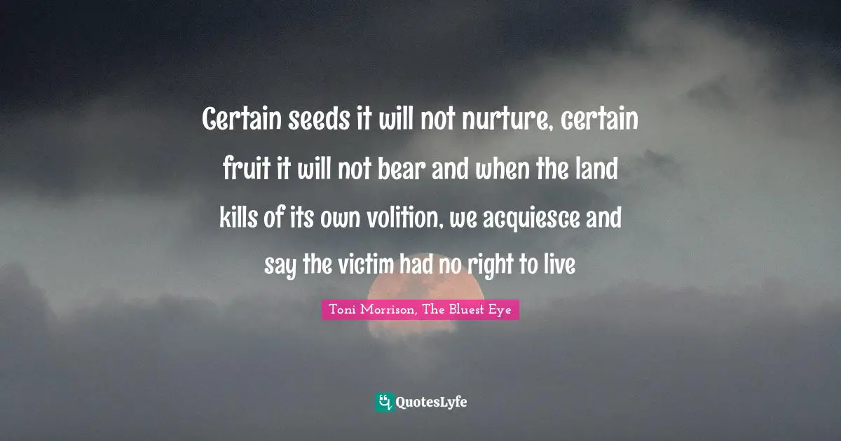 Certain seeds it will not nurture, certain fruit it will not bear and when the land kills of its own volition, we acquiesce and say the victim had no right to live