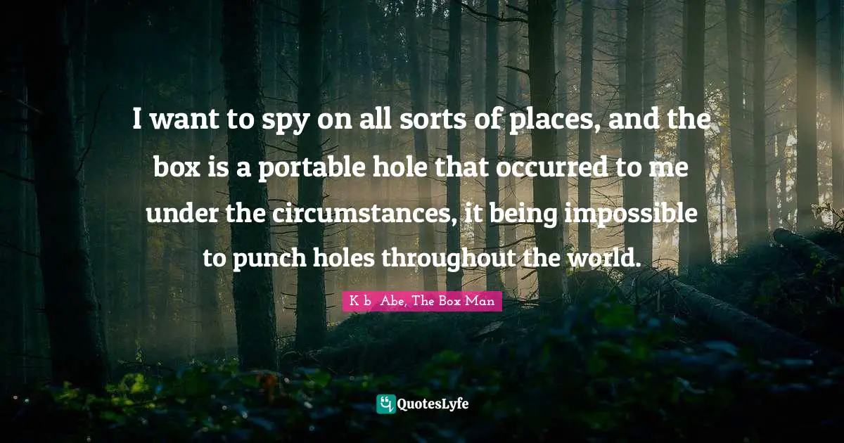 I want to spy on all sorts of places, and the box is a portable hole that occurred to me under the circumstances, it being impossible to punch holes throughout the world.