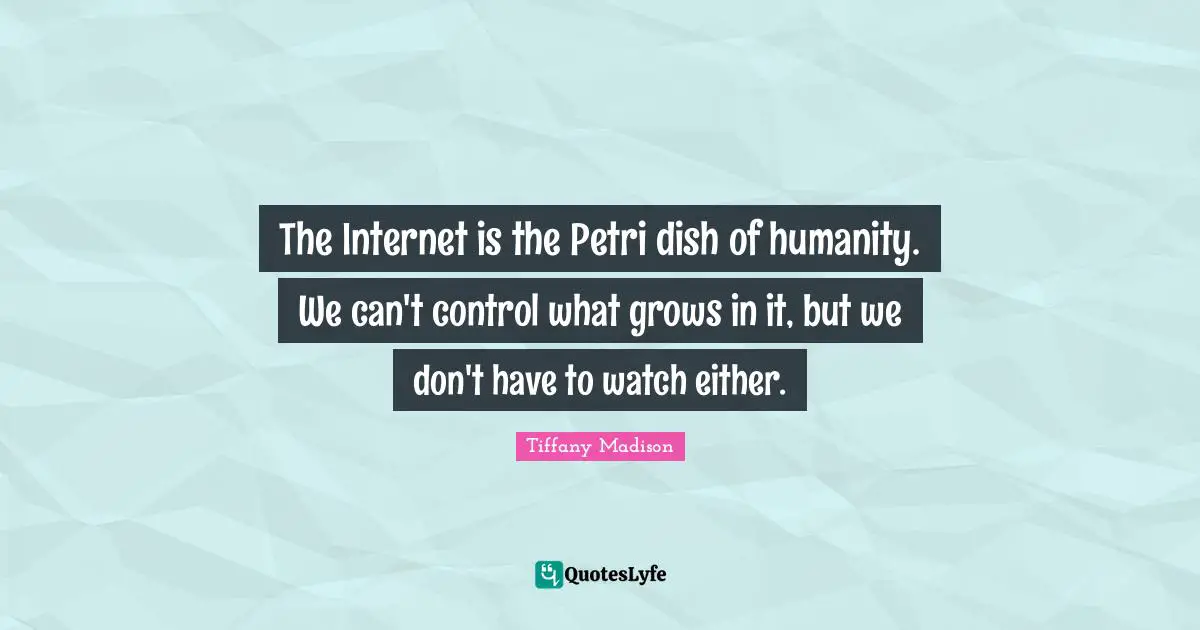 The Internet is the Petri dish of humanity. We can't control what grows in it, but we don't have to watch either.