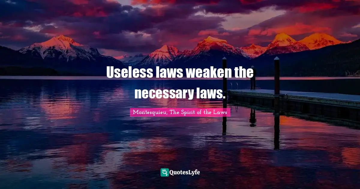 Useless laws weaken the necessary laws.