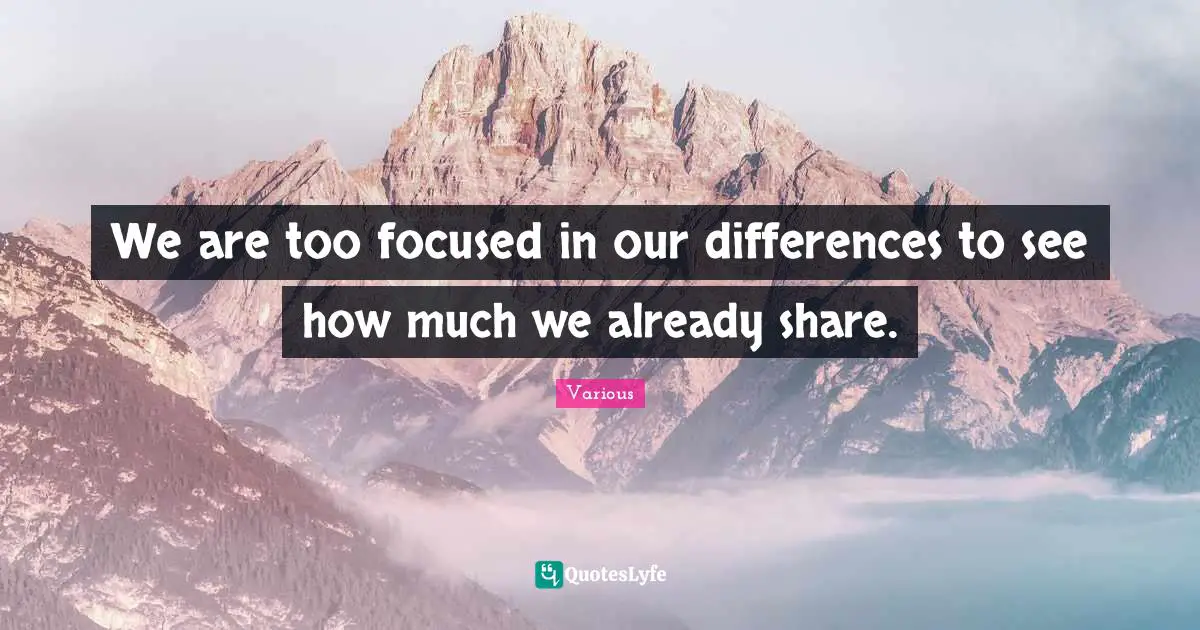 Various Quotes: "We are too focused in our differences to see how much we already share."