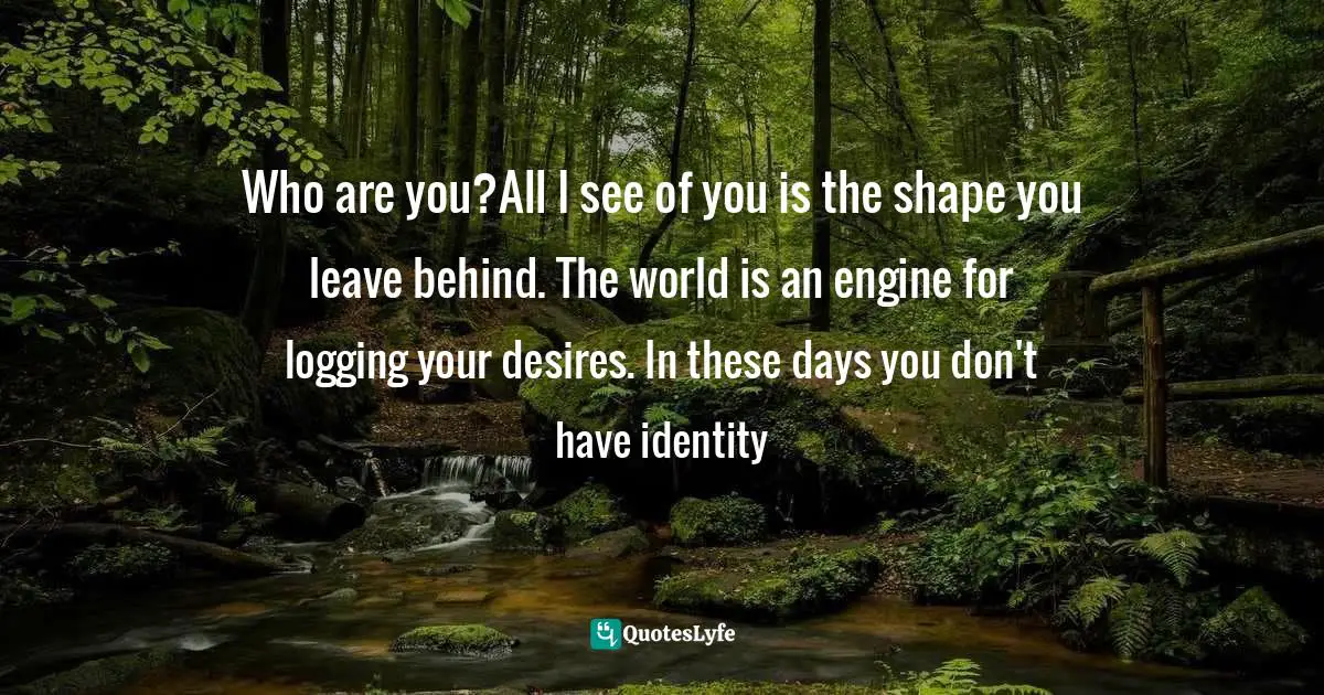 Who are you?All I see of you is the shape you leave behind. The world is an engine for logging your desires. In these days you don't have identity