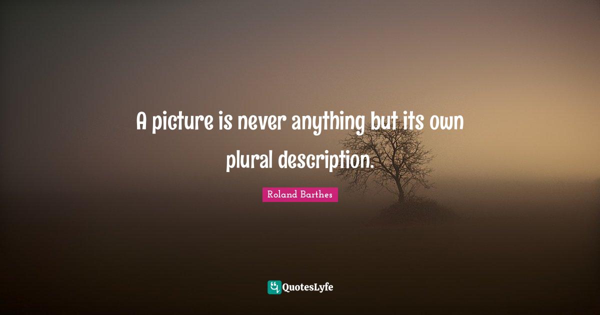 A picture is never anything but its own plural description.