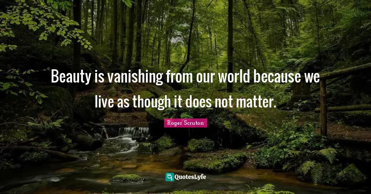 Beauty is vanishing from our world because we live as though it does not matter.