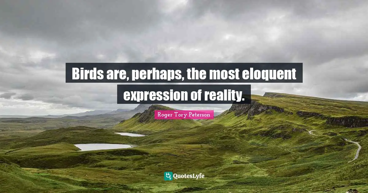 Eloquent Quotes: "Birds are, perhaps, the most eloquent expression of reality."