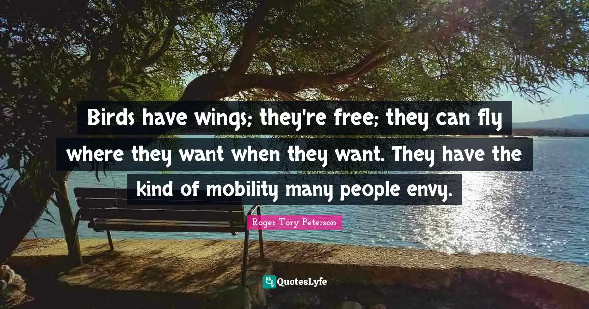 Birds have wings; they're free; they can fly where they want when they want. They have the kind of mobility many people envy.