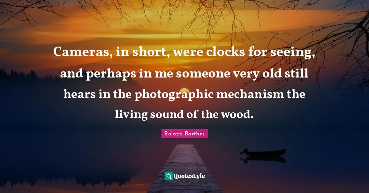 Cameras, in short, were clocks for seeing, and perhaps in me someone very old still hears in the photographic mechanism the living sound of the wood.