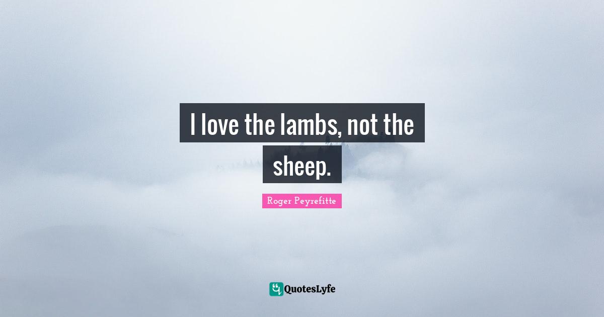 I love the lambs, not the sheep.