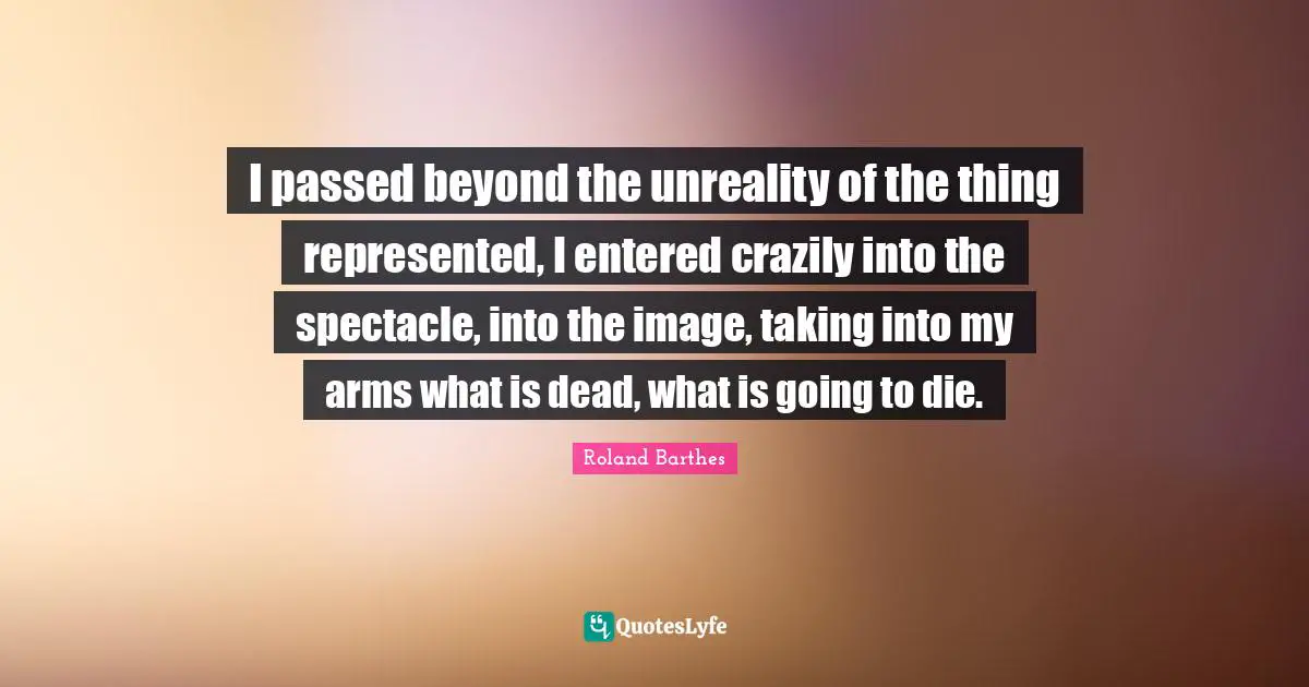 I passed beyond the unreality of the thing represented, I entered crazily into the spectacle, into the image, taking into my arms what is dead, what is going to die.