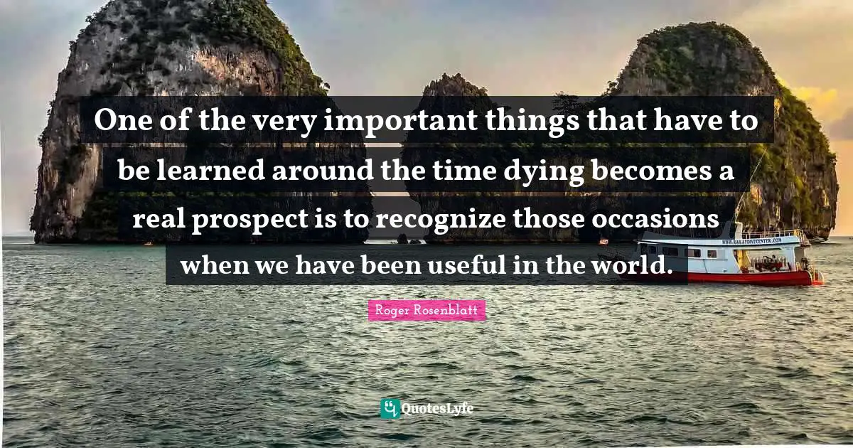 One of the very important things that have to be learned around the time dying becomes a real prospect is to recognize those occasions when we have been useful in the world.