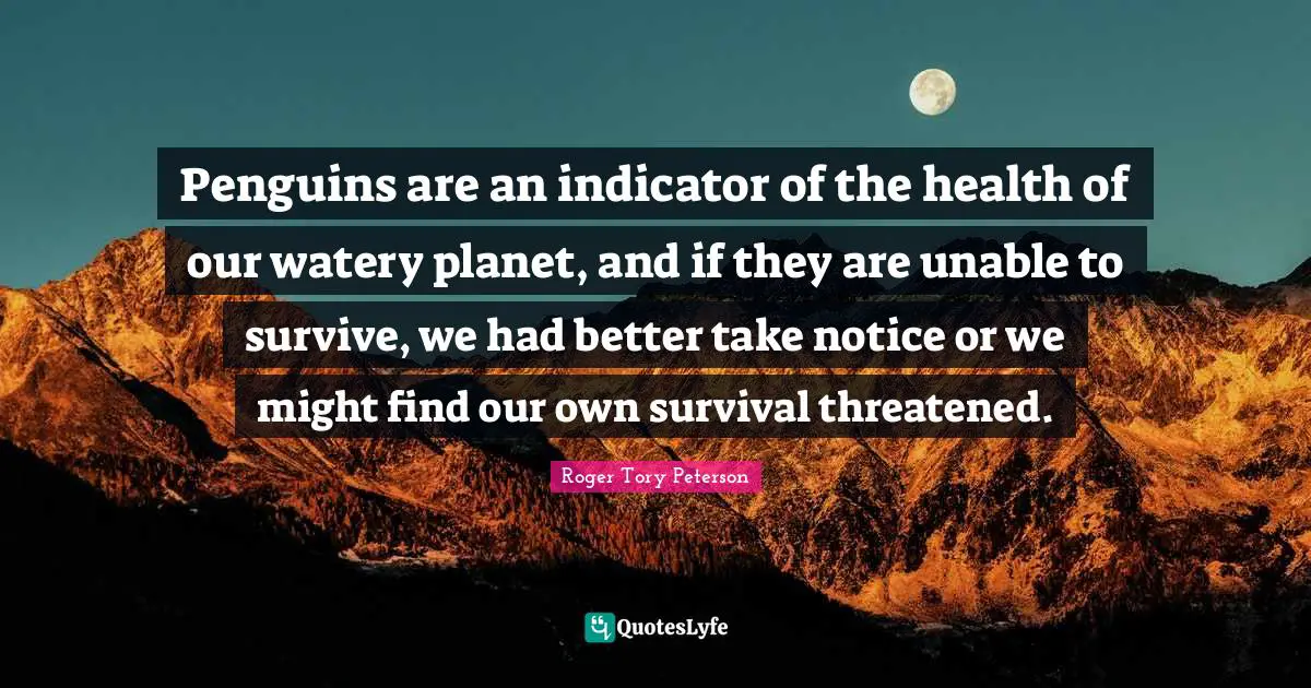 Penguins are an indicator of the health of our watery planet, and if they are unable to survive, we had better take notice or we might find our own survival threatened.