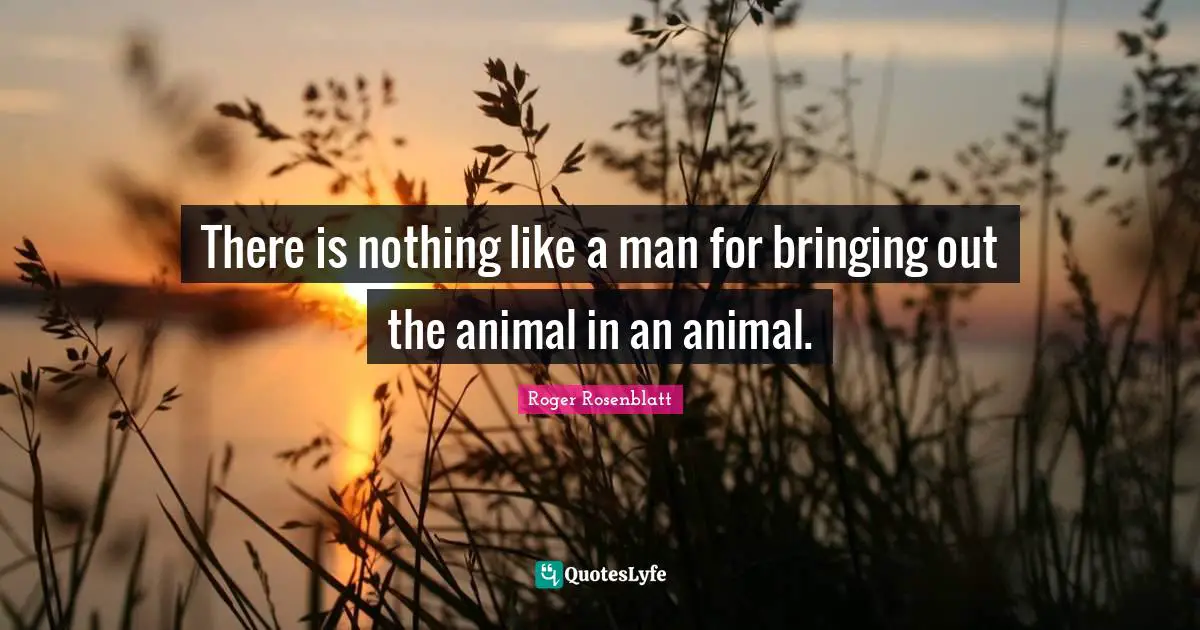 There is nothing like a man for bringing out the animal in an animal.