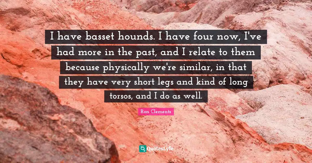 I have basset hounds. I have four now, I've had more in the past, and I relate to them because physically we're similar, in that they have very short legs and kind of long torsos, and I do as well.