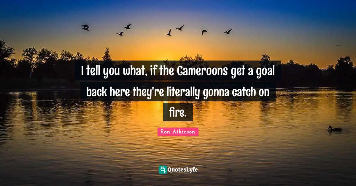 I tell you what, if the Cameroons get a goal back here they're literally gonna catch on fire.
