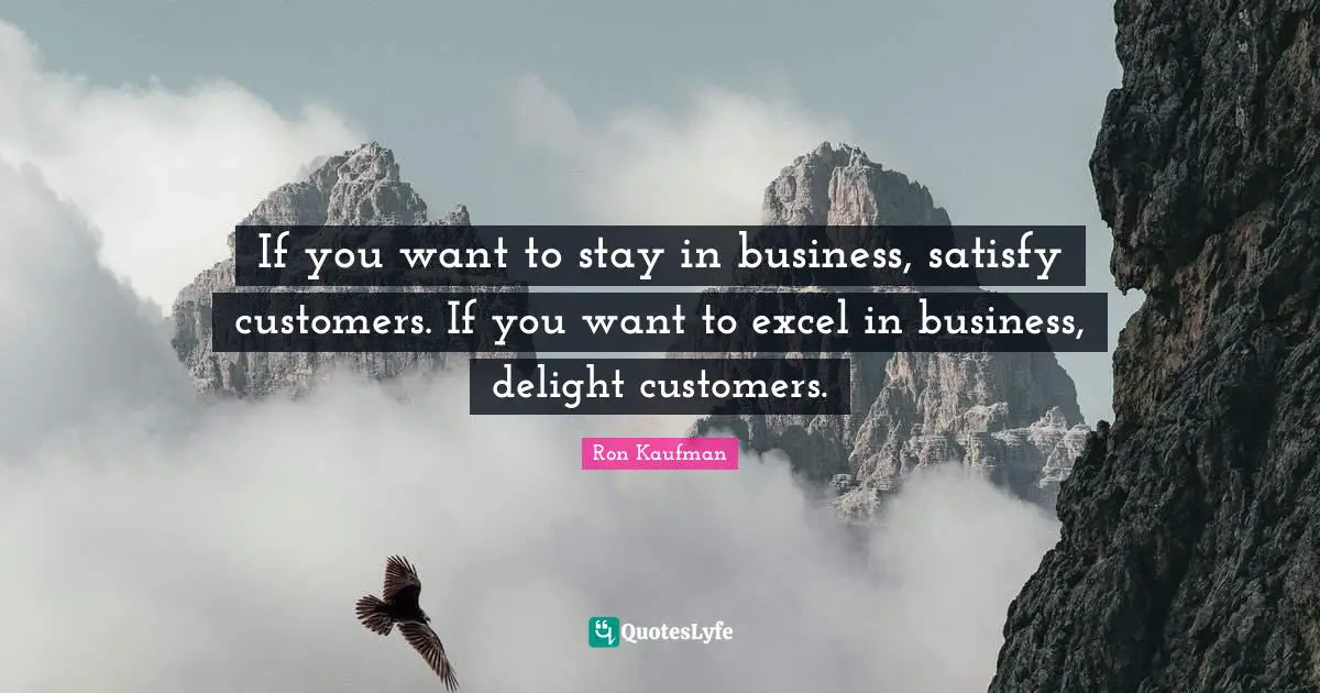 If you want to stay in business, satisfy customers. If you want to excel in business, delight customers.